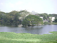 Pond at Chetput.JPG