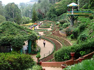 Botanical Gardens - Ootacamund (Ooty) - India 03.JPG