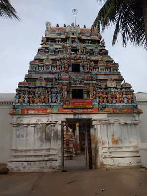 Natankovil1.jpg