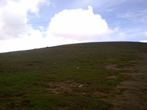 A Landscape of Ooty10.jpg