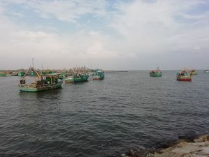 Vembar boats.jpg