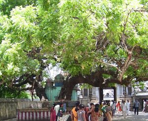 VaidheeshwaranTemple.JPG