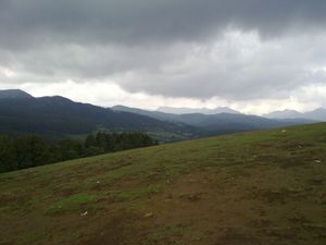 A Landscape of Ooty.jpg