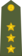 Captain of the Indian Army.svg.png