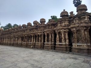 Kanchi kailasanathar temple6.jpg