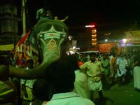 யானை ஊர்வலம்