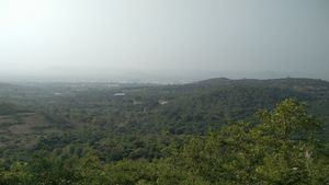 Yelagiri Hills.jpg