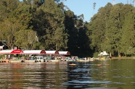 Ooty Lake.jpg