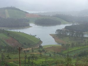 Avalanche lake ooty 1.jpg