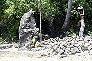 Growing rock.JPG