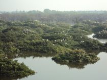 Vedanthangal.JPG