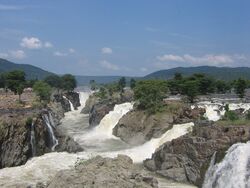 ஒகேனக்கல் அருவி