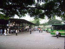 DSC00409.JPG