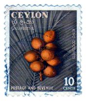 படிமம்:Kingcoconuts-ceylon.jpg