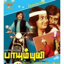 படிமம்:Paayum puli.jpeg