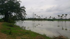 படிமம்:Kadanganeri2.JPG