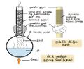 17:11, 7 பெப்பிரவரி 2025 இலிருந்த பதிப்புக்கான சிறு தோற்றம்
