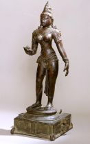 படிமம்:Cholacrop.jpg