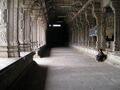 17:35, 7 பெப்பிரவரி 2025 இலிருந்த பதிப்புக்கான சிறு தோற்றம்